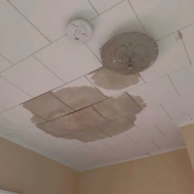 Ceiling Water Damage Repair in West Perrine, FL
